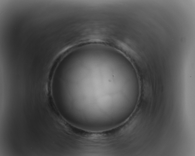 X0000089731166200706281544