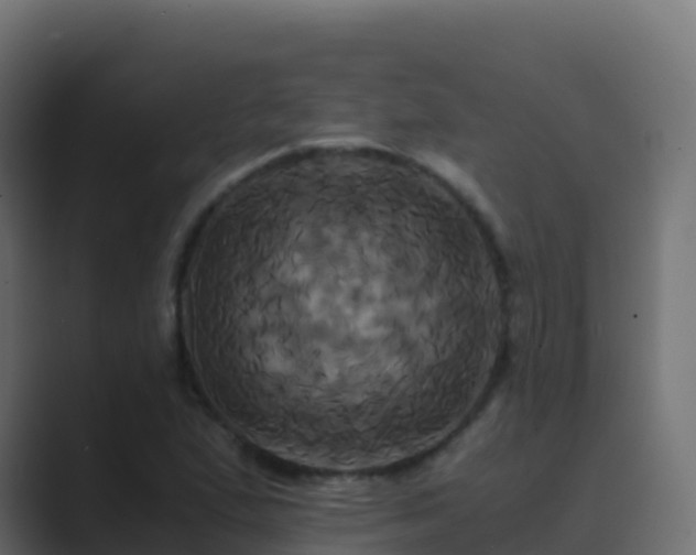 X0000089731167200706281544
