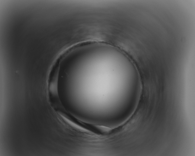 X0000089731168200706281544
