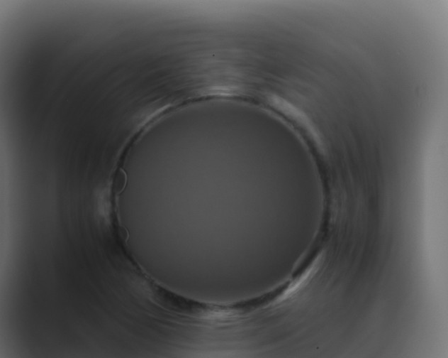 X0000089731170200706281544