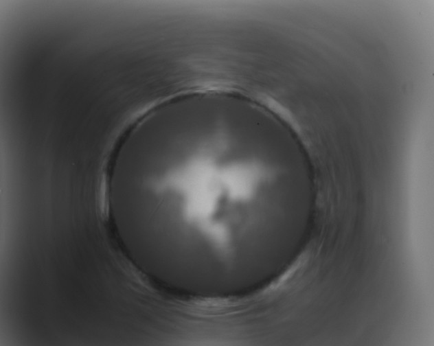 X0000089731171200706281544