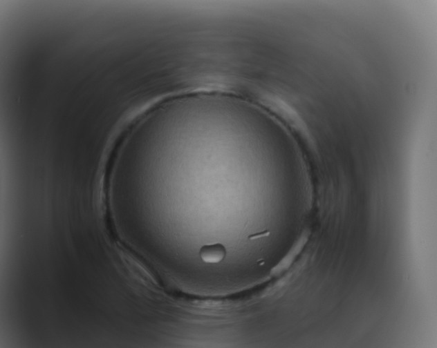 X0000089731172200706281544