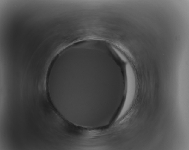 X0000089731173200706281544