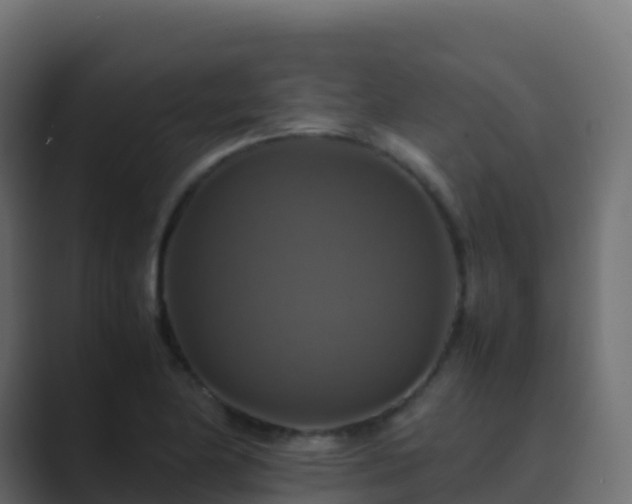 X0000089731174200706281544