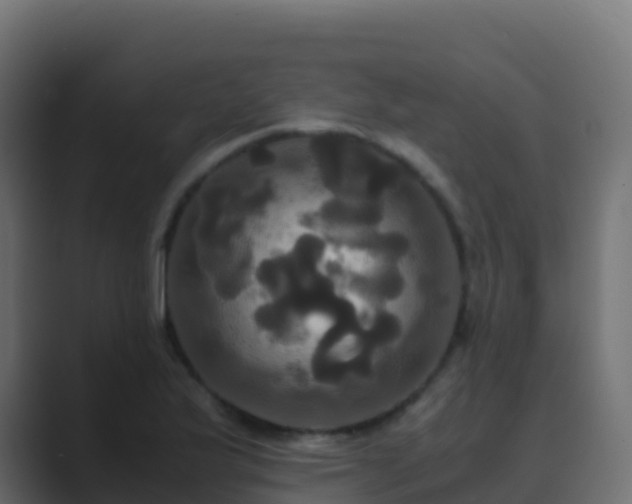 X0000089731175200706281544