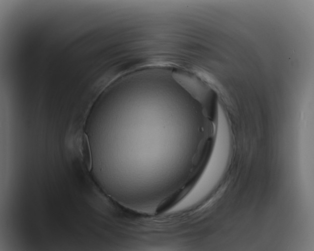 X0000089731177200706281544