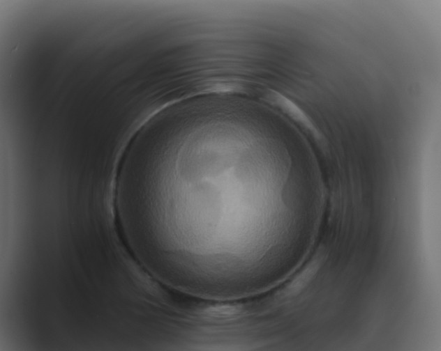X0000089731178200706281544