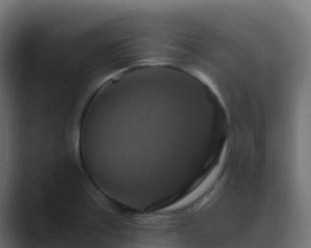 X0000089731179200706281544