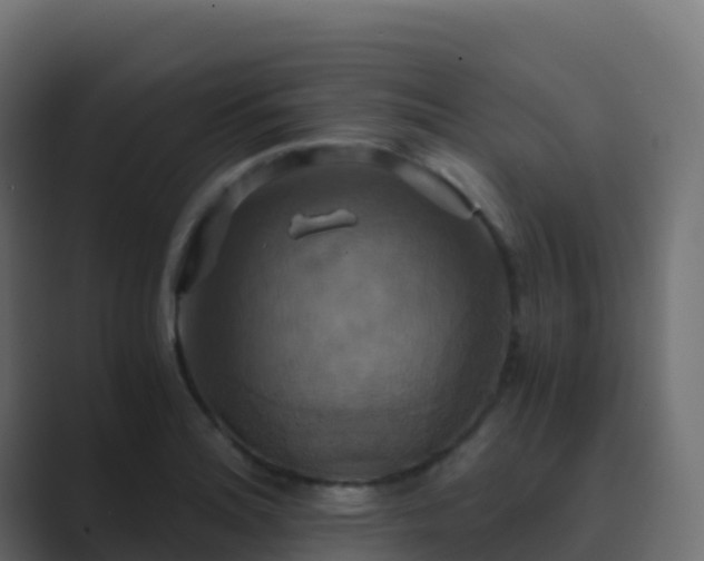 X0000089731180200706281544