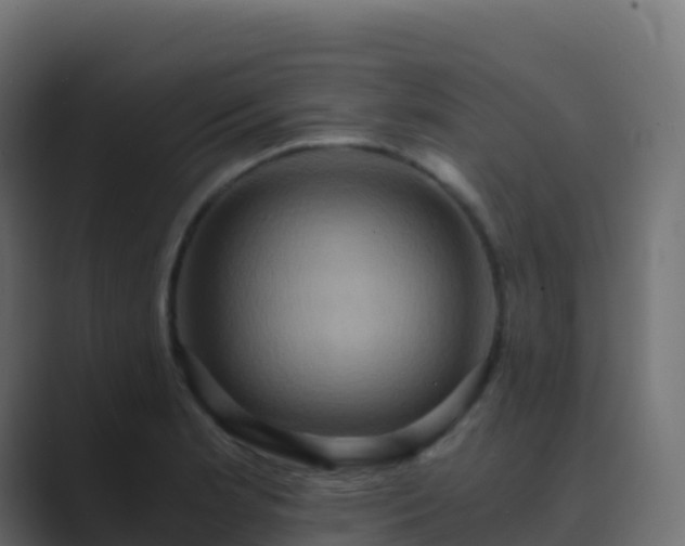 X0000089731181200706281544