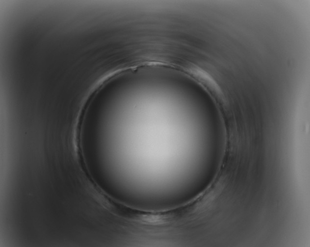X0000089731182200706281544