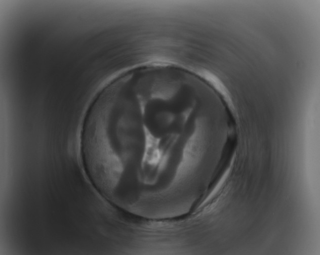 X0000089731183200706281544