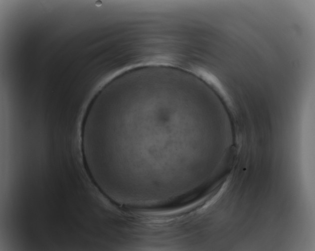 X0000089731184200706281544