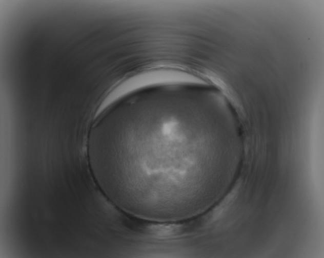 X0000089731185200706281544