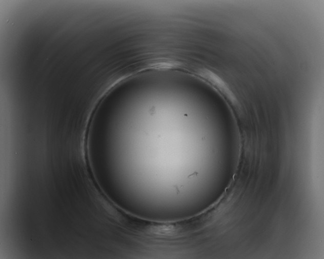 X0000089731186200706281543