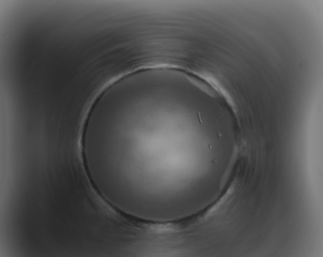 X0000089731189200706281543