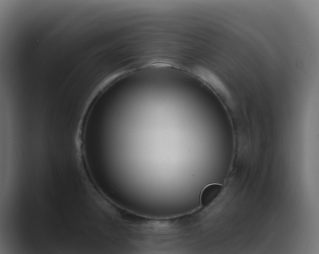 X0000089731190200706281543