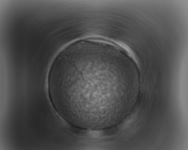 X0000089731191200706281543