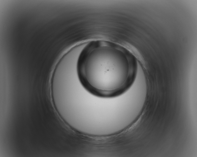 X0000089731192200706281543