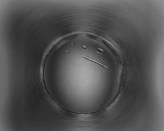 X0000089731196200706281543