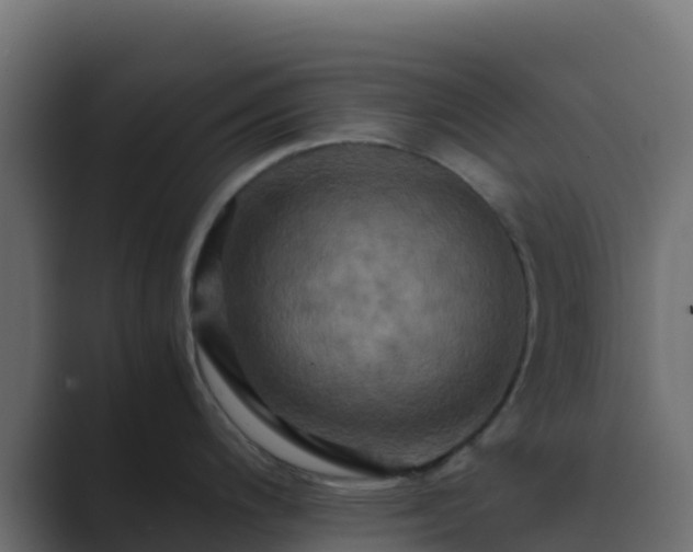 X0000089731200200706281543