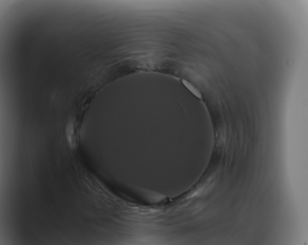 X0000089731202200706281543