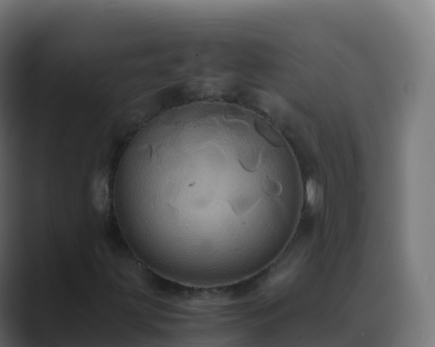 X0000089731203200706281543