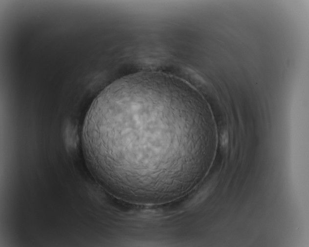 X0000089731204200706281543