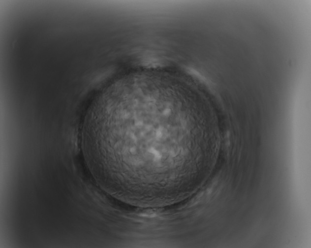 X0000089731205200706281543