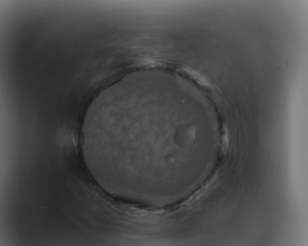 X0000089731206200706281543