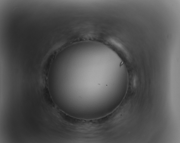 X0000089731207200706281543