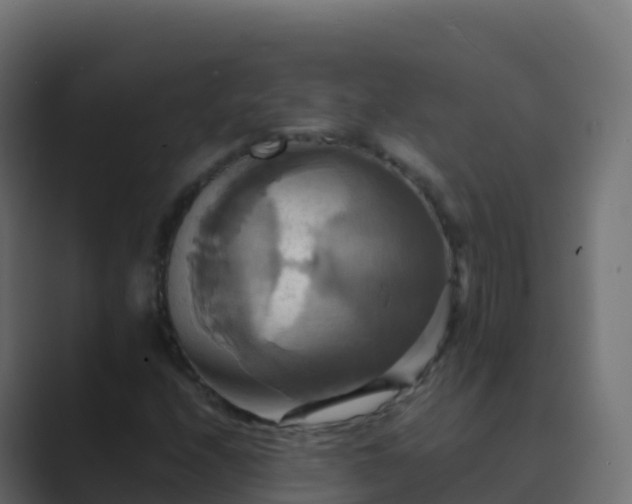 X0000089731208200706281543