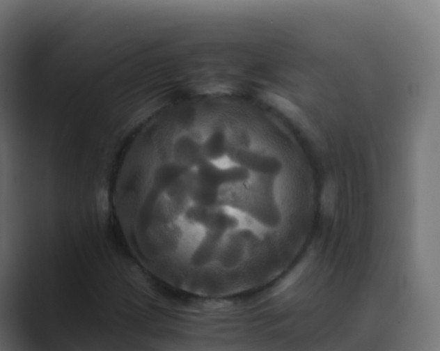 X0000089731209200706281543