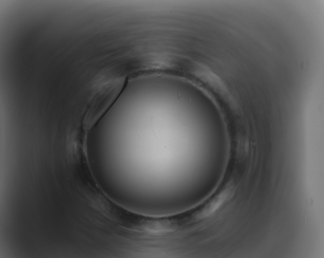 X0000089731210200706281543