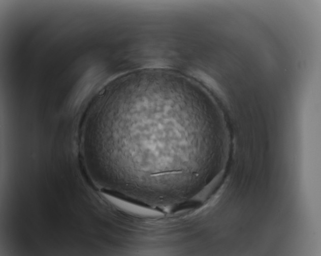 X0000089731212200706281543