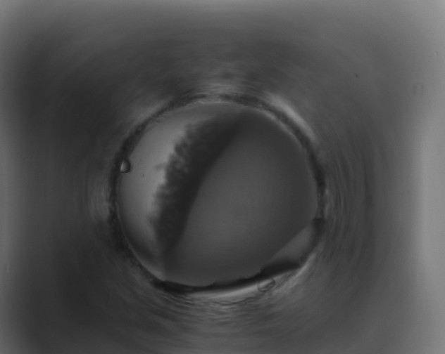 X0000089731213200706281543