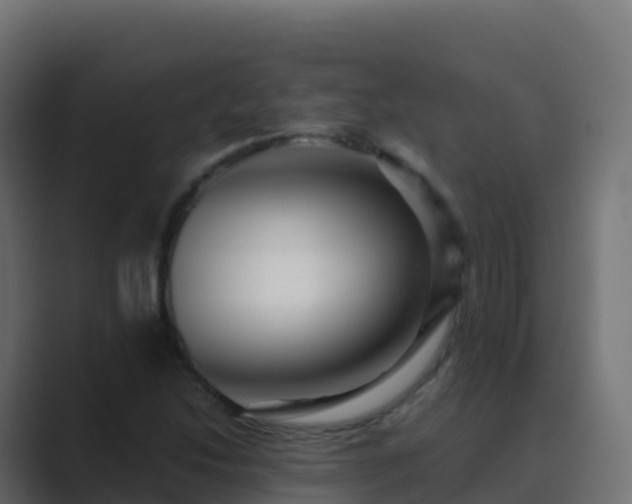 X0000089731214200706281543