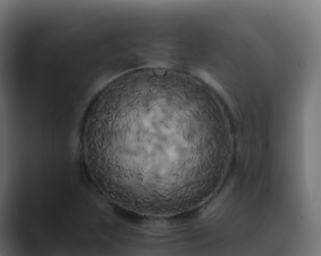 X0000089731215200706281543