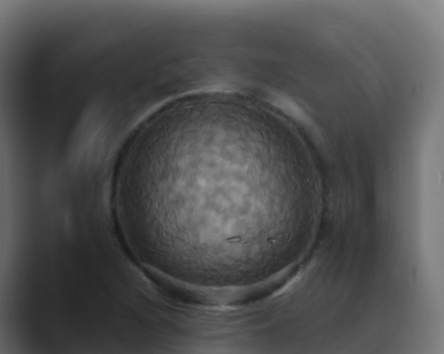 X0000089731216200706281543