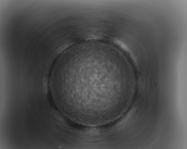 X0000089731217200706281543
