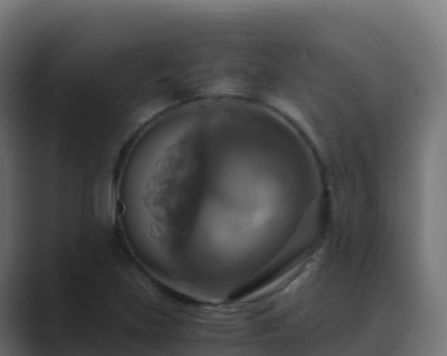 X0000089731219200706281543