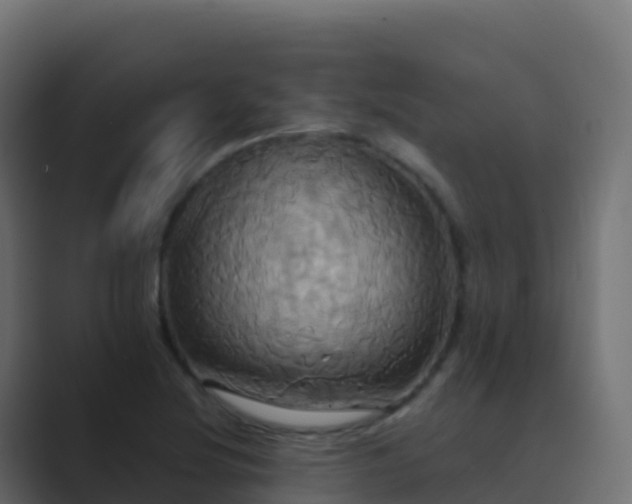 X0000089731220200706281543