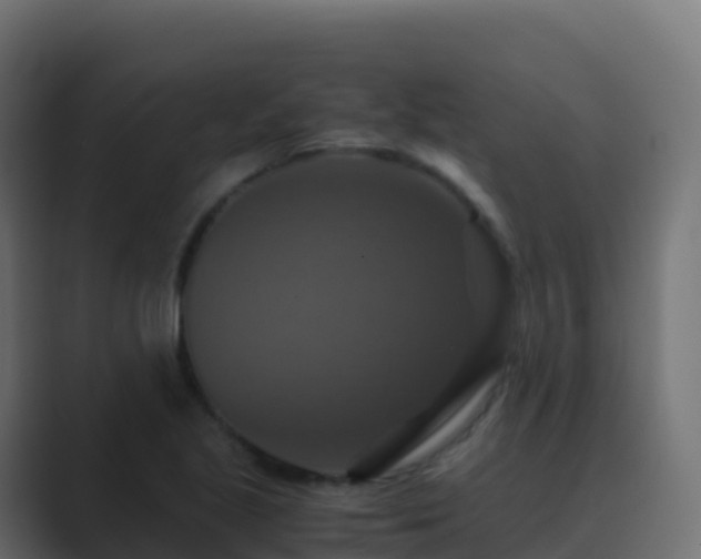 X0000089731221200706281543