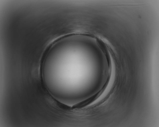 X0000089731222200706281543