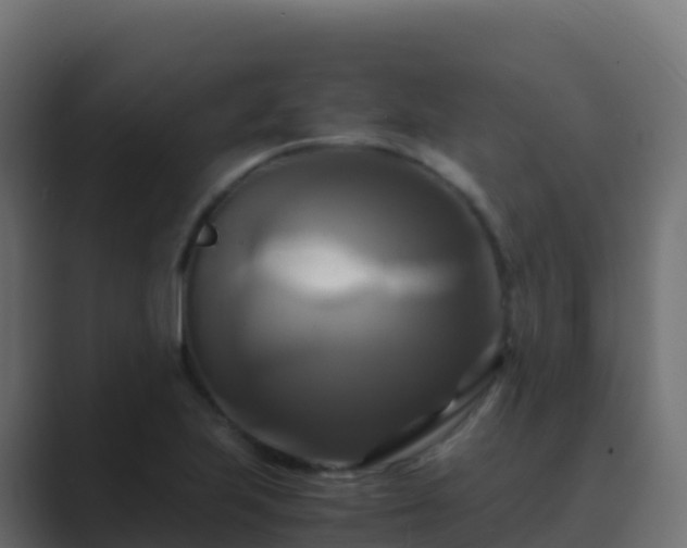 X0000089731223200706281543