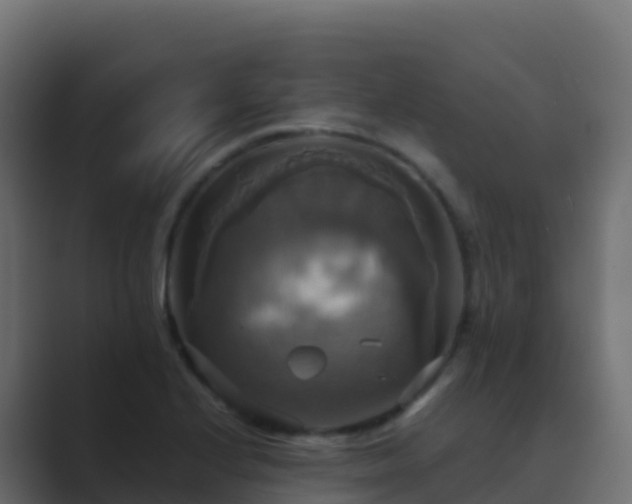 X0000089731224200706281543