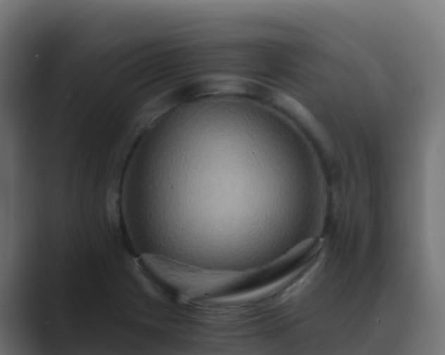 X0000089731225200706281543