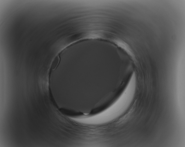 X0000089731226200706281543