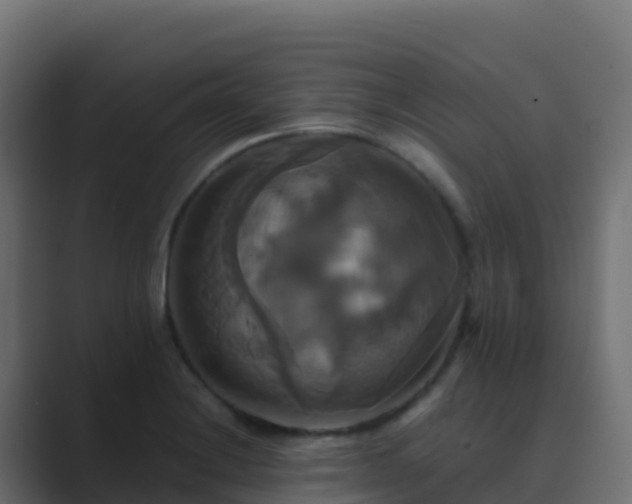 X0000089731228200706281543