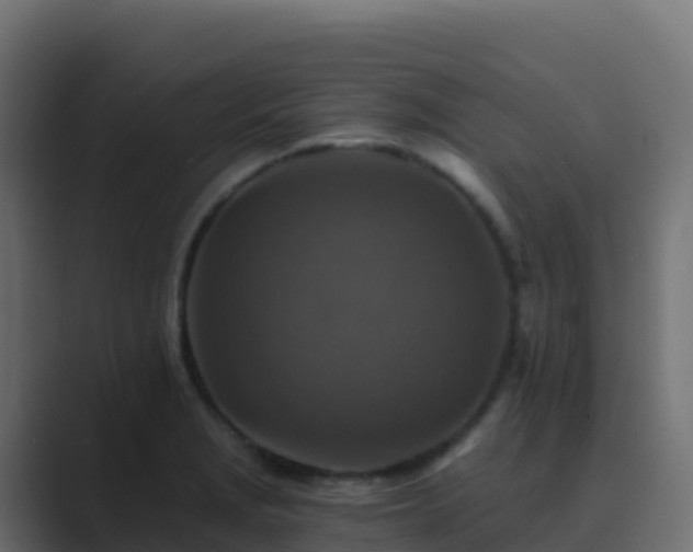 X0000089731229200706281543